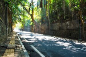 Fahrt durch schöne Gegenden in Ubud